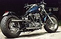 Custom 030